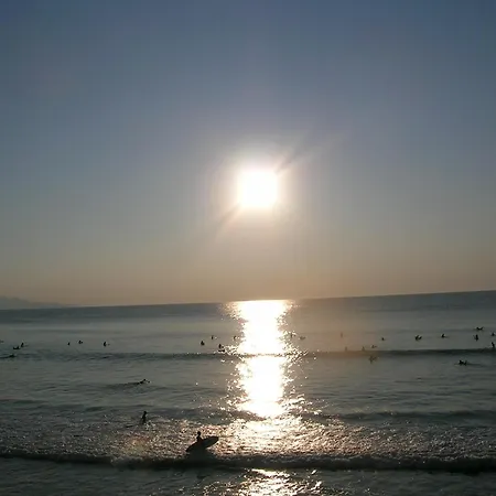 Carlina Biarritz