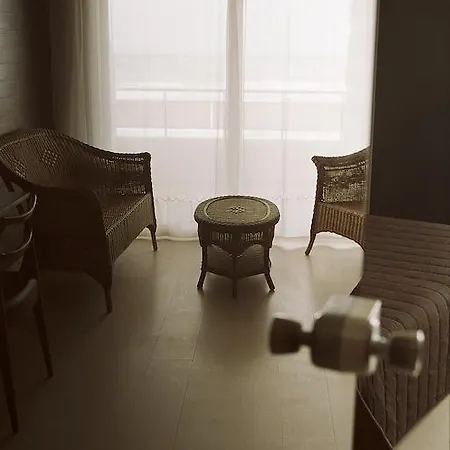 卡利娜旅馆 3* 比亚里茨